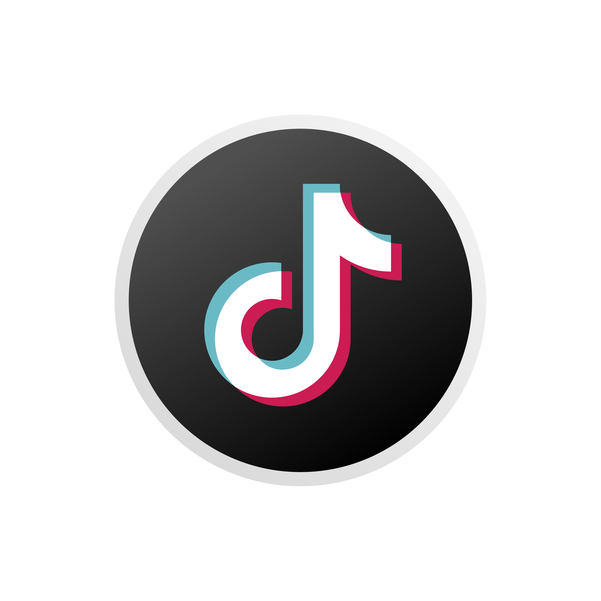 tiktok Downloader